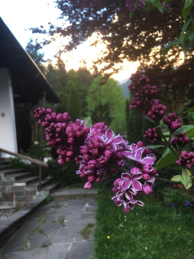 Ferienhaus Wieswald แอห์วัลด์ ภายนอก รูปภาพ