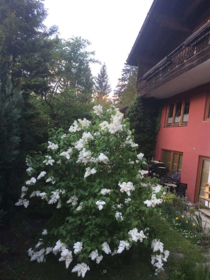 Ferienhaus Wieswald แอห์วัลด์ ภายนอก รูปภาพ